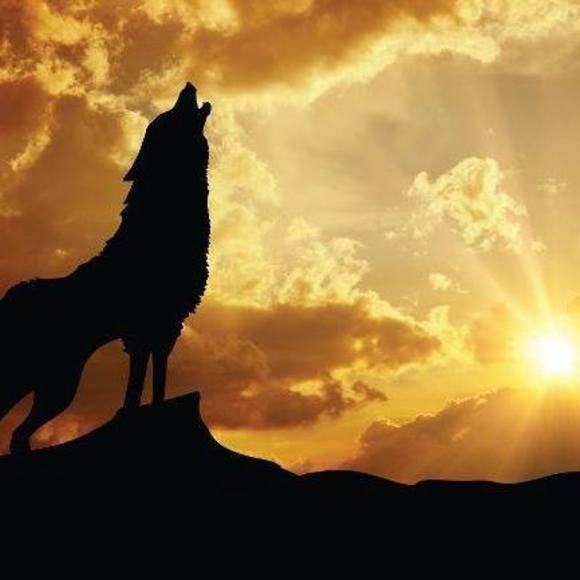 Meet your Posher, Der - Picture 1 of 1